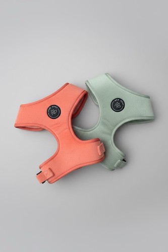 Bew dogs imbracatura per cani - bew,